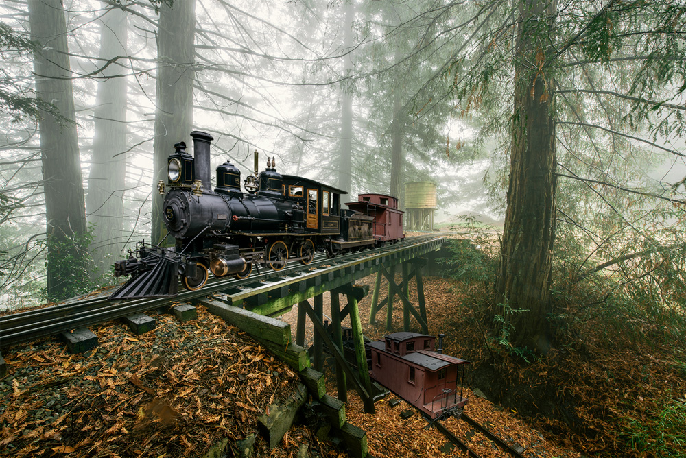 a train crossing a bridge in a forest