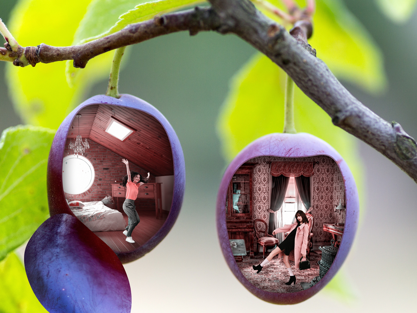 Two plums hanging from a branch. Each plum has an opening in which can be seen a room occupied by a young woman